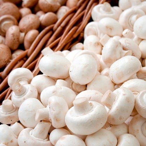 /storage/photos/30/chillibulk/wholesale-price-white-fresh-button-mushroom-for-vegetables-552.jpg