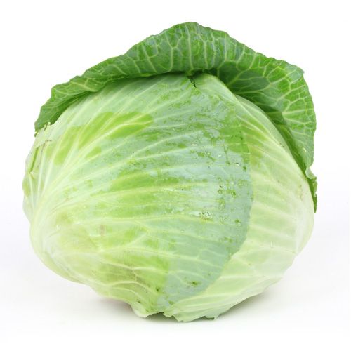 /storage/photos/30/new/10000065_14-fresho-cabbage.jpg